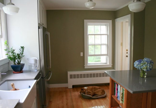 Spacious kitchen with modern finishes and a dog sleeping in its bed near the window in West Falmouth, remodeled by At Design Remodel